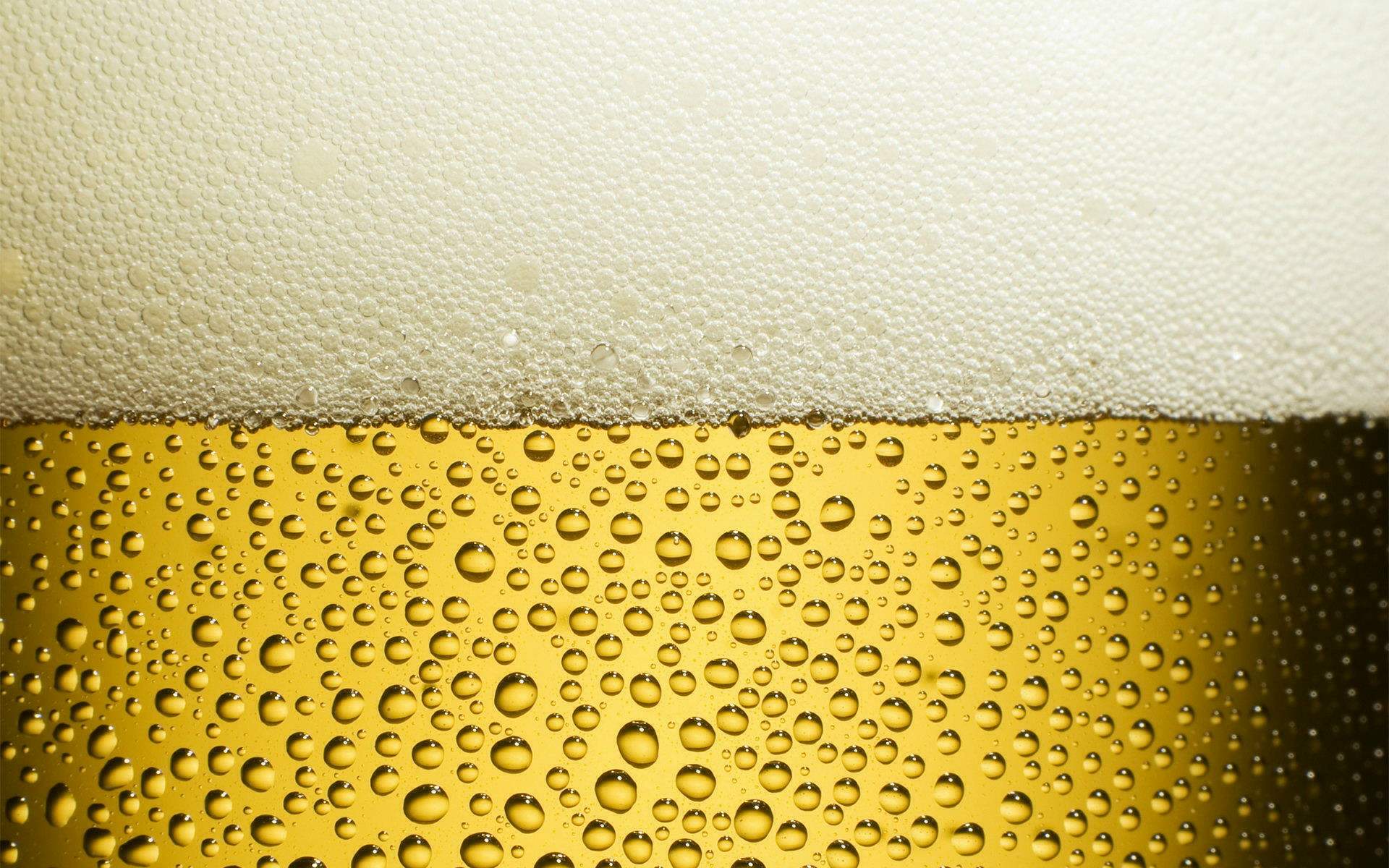 评价啤酒质量的指标，你知道几个？