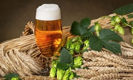 精酿啤酒中，如何选择恰当的浸麦方法？